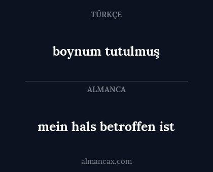 boynum tutulmuş - mein hals betroffen ist