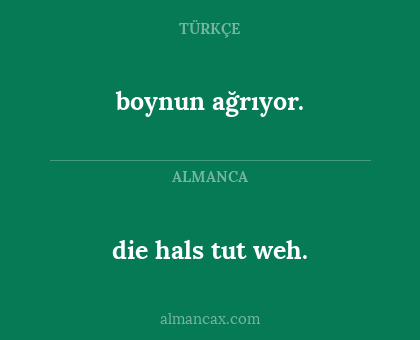 boynun ağrıyor. - die hals tut weh.