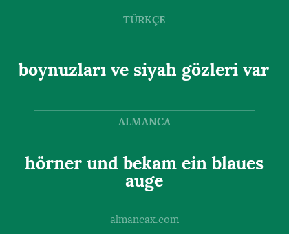 hörner und bekam ein blaues auge - boynuzları ve siyah gözleri var