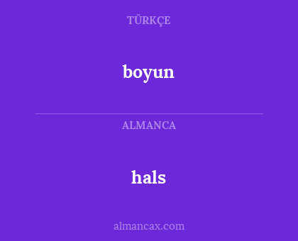 hals - boyun