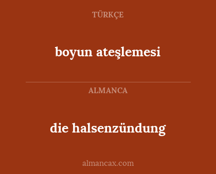 die halsenzündung - boyun ateşlemesi