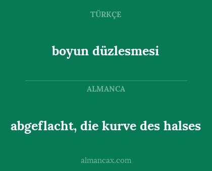 boyun düzlesmesi - abgeflacht, die kurve des halses