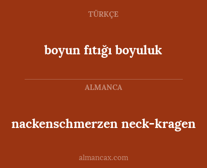 boyun fıtığı boyuluk - nackenschmerzen neck-kragen