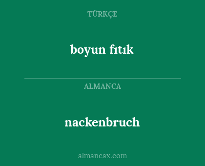 boyun fıtık - nackenbruch