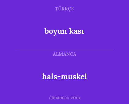 hals-muskel - boyun kası