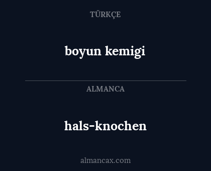 hals-knochen - boyun kemigi