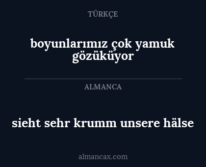 sieht sehr krumm unsere hälse - boyunlarımız çok yamuk gözüküyor
