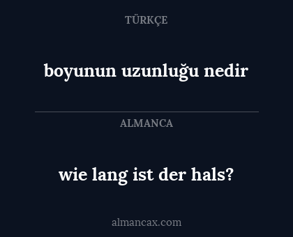 boyunun uzunluğu nedir - wie lang ist der hals?