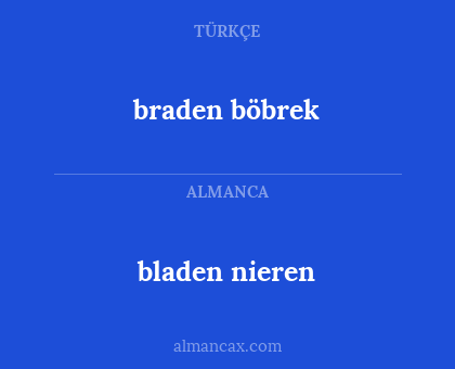 bladen nieren - braden böbrek