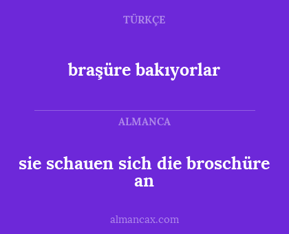 braşüre bakıyorlar - sie schauen sich die broschüre an
