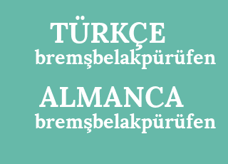 brem%C5%9Fbelakp%C3%BCr%C3%BCfen-brem%C5%9Fbelakp%C3%BCr%C3%BCfen.png