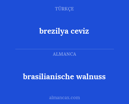 brasilianische walnuss - brezilya ceviz