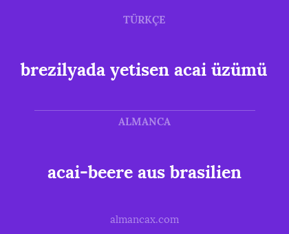 acai-beere aus brasilien - brezilyada yetisen acai üzümü