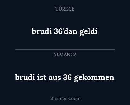 brudi ist aus 36 gekommen - brudi 36'dan geldi