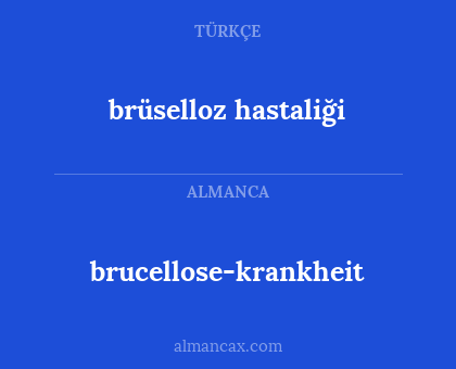 brucellose-krankheit - brüselloz hastaliği
