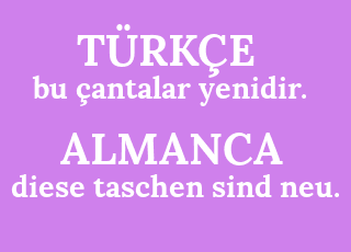 bu+%C3%A7antalar+yenidir.-diese+taschen+sind+neu..png