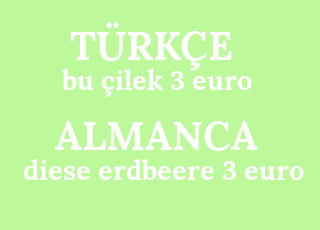 bu+%C3%A7ilek+3+euro-diese+erdbeere+3+euro.png