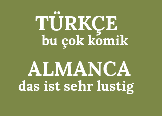 Немецкий язык wer ist wer?. Das ist или ist das. Das ist или ist das. Игра was ist das. Как переводится das ist.