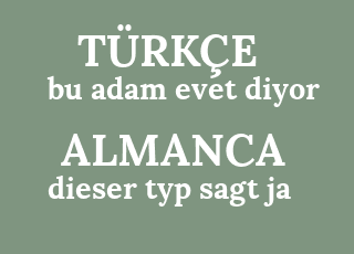 bu+adam+evet+diyor-dieser+typ+sagt+ja.png