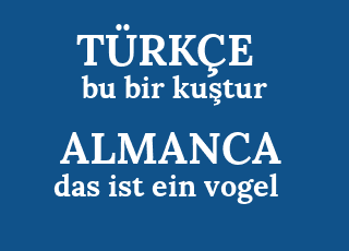 bu+bir+ku%C5%9Ftur-das+ist+ein+vogel.png