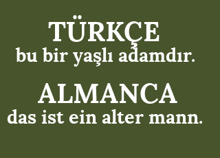 bu+bir+ya%C5%9Fl%C4%B1+adamd%C4%B1r.-das+ist+ein+alter+mann..png