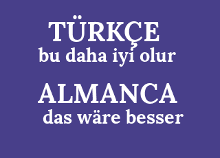 bu+daha+iyi+olur-das+w%C3%A4re+besser.png