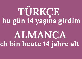 bu+g%C3%BCn+14+ya%C5%9F%C4%B1na+girdim-ich+bin+heute+14+jahre+alt.png