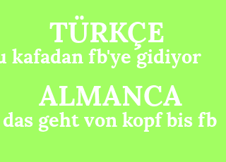 bu+kafadan+fb%26%2339%3Bye+gidiyor-das+geht+von+kopf+bis+fb.png