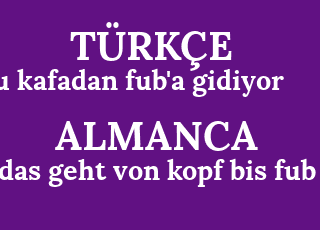 bu+kafadan+fub%26%2339%3Ba+gidiyor-das+geht+von+kopf+bis+fub.png