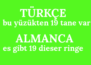 bu+y%C3%BCz%C3%BCkten+19+tane+var-es+gibt+19+dieser+ringe.png