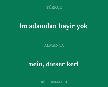 nein, dieser kerl - bu adamdan hayir yok