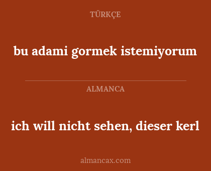 bu adami gormek istemiyorum - ich will nicht sehen, dieser kerl