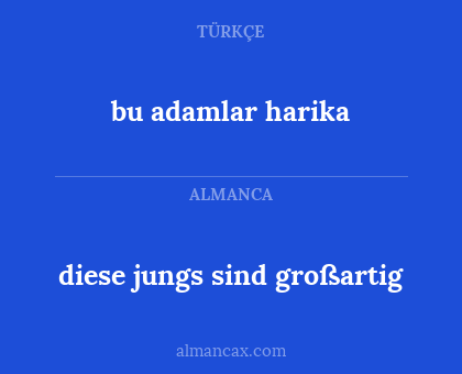bu adamlar harika - diese jungs sind großartig