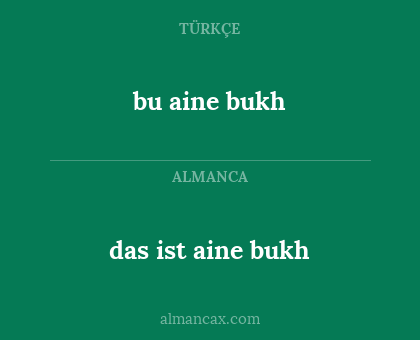 bu aine bukh - das ist aine bukh