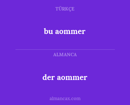 bu aommer - der aommer