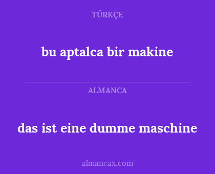 bu aptalca bir makine - das ist eine dumme maschine