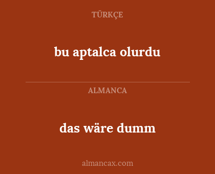 bu aptalca olurdu - das wäre dumm