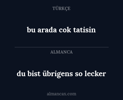bu arada cok tatisin - du bist übrigens so lecker