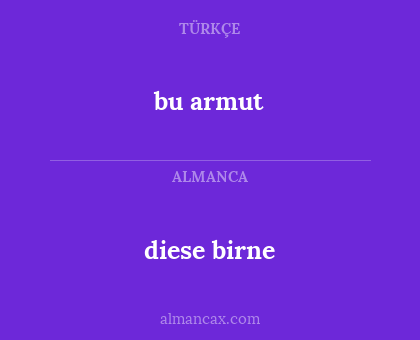 diese birne - bu armut
