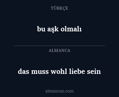 bu aşk olmalı - das muss wohl liebe sein