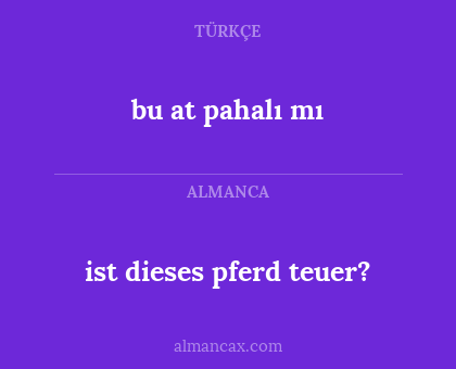 bu at pahalı mı - ist dieses pferd teuer?