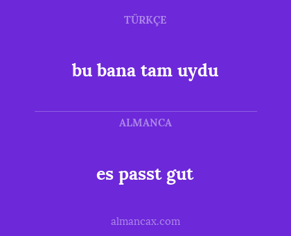 es passt gut - bu bana tam uydu