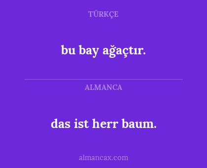 bu bay ağaçtır. - das ist herr baum.