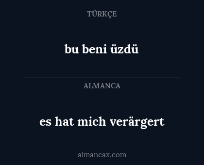 es hat mich verärgert - bu beni üzdü