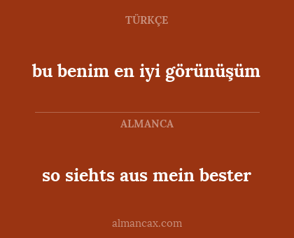 so siehts aus mein bester - bu benim en iyi görünüşüm