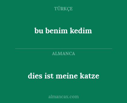 bu benim kedim - dies ist meine katze