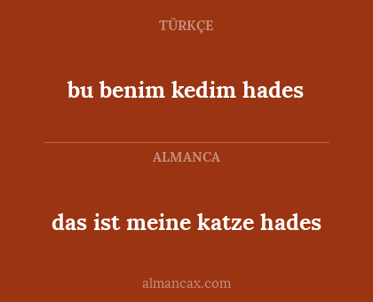 bu benim kedim hades - das ist meine katze hades