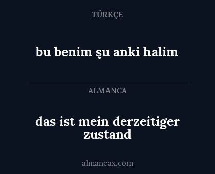 das ist mein derzeitiger zustand - bu benim şu anki halim
