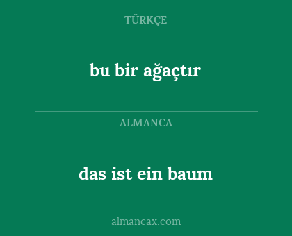 bu bir ağaçtır - das ist ein baum