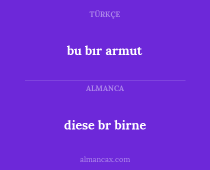 bu bır armut - diese br birne